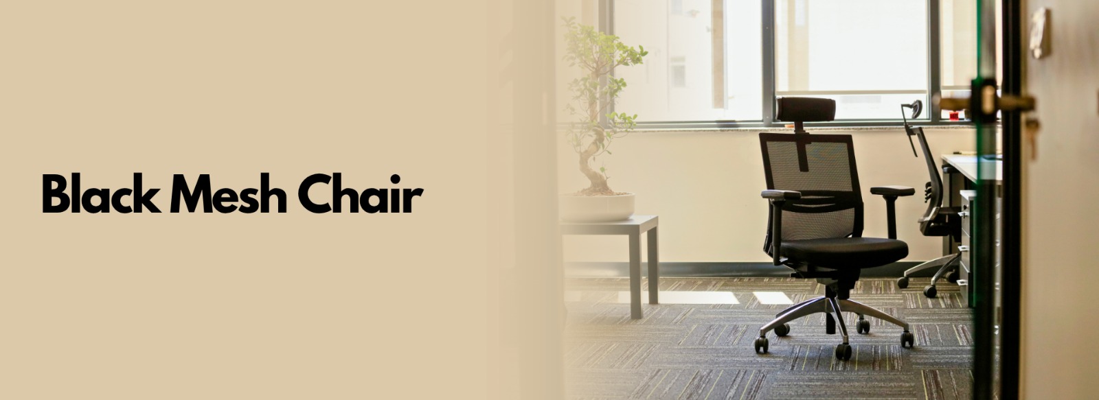 Ergolite Furniture Solutions